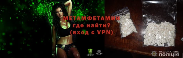 прущие грибы Заводоуковск