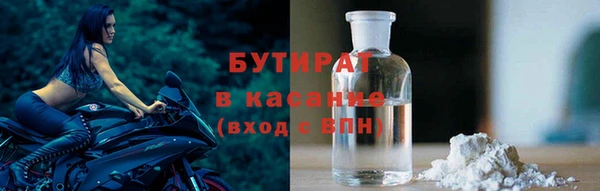 прущие грибы Заводоуковск