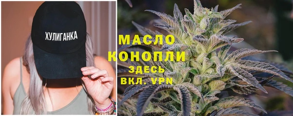 прущие грибы Заводоуковск