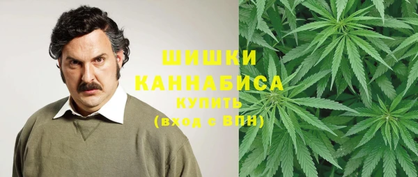 прущие грибы Заводоуковск