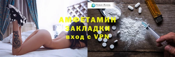 прущие грибы Заводоуковск